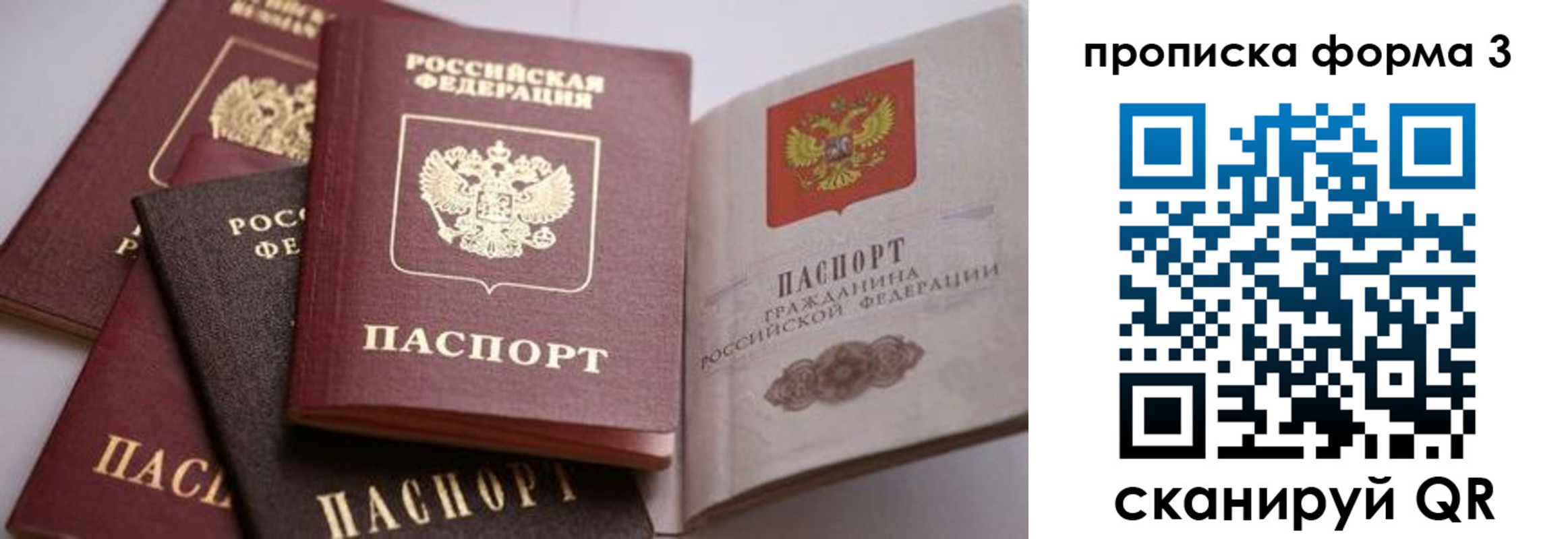 прописка для школы в Архангельске